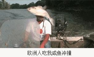 闲鱼vs淘宝,闲鱼蓝海玩法
