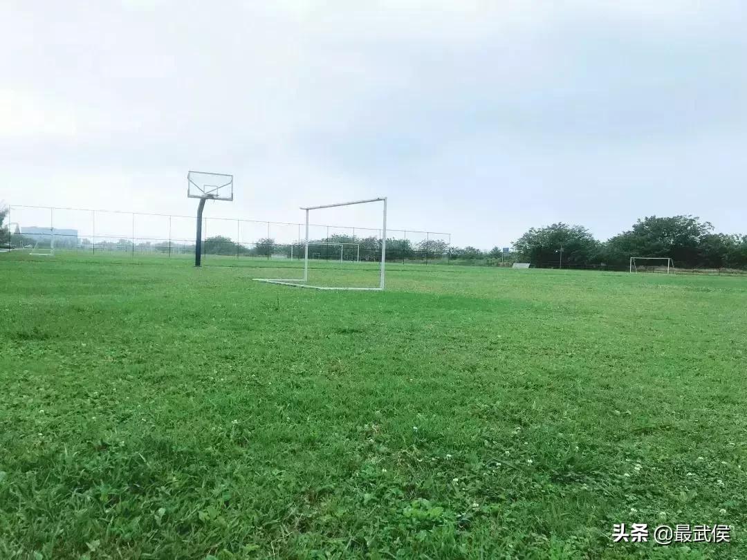 成都世警会比赛时间表,成都世警会比赛视频直播