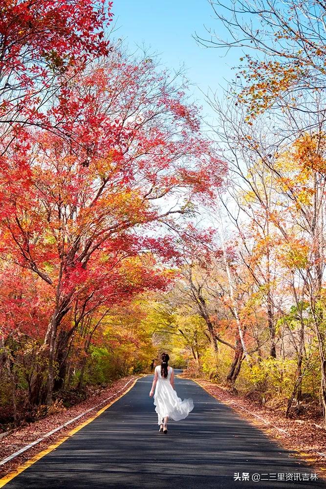 3分钟让你爱上jojo,3分钟让你爱上她