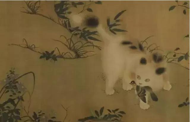 20元土猫,土猫能卖多少钱一只