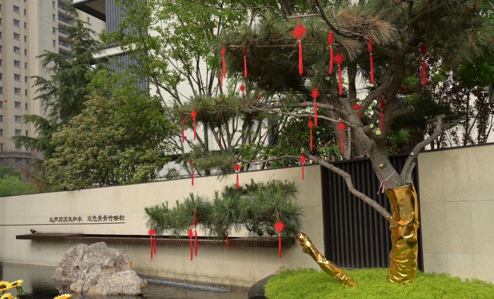 浪漫就是拥有一所静雅庭院院,与你一起云淡风轻