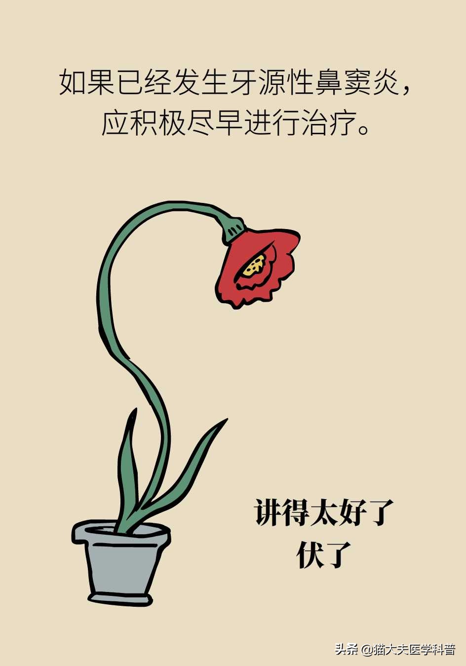 鼻窦炎引起的牙龈肿痛,牙龈引起的鼻窦炎怎么治疗