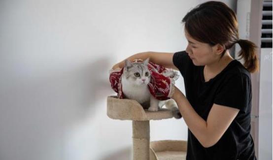 成功人看什么都是商机,意识到商机的人早已不再抱怨