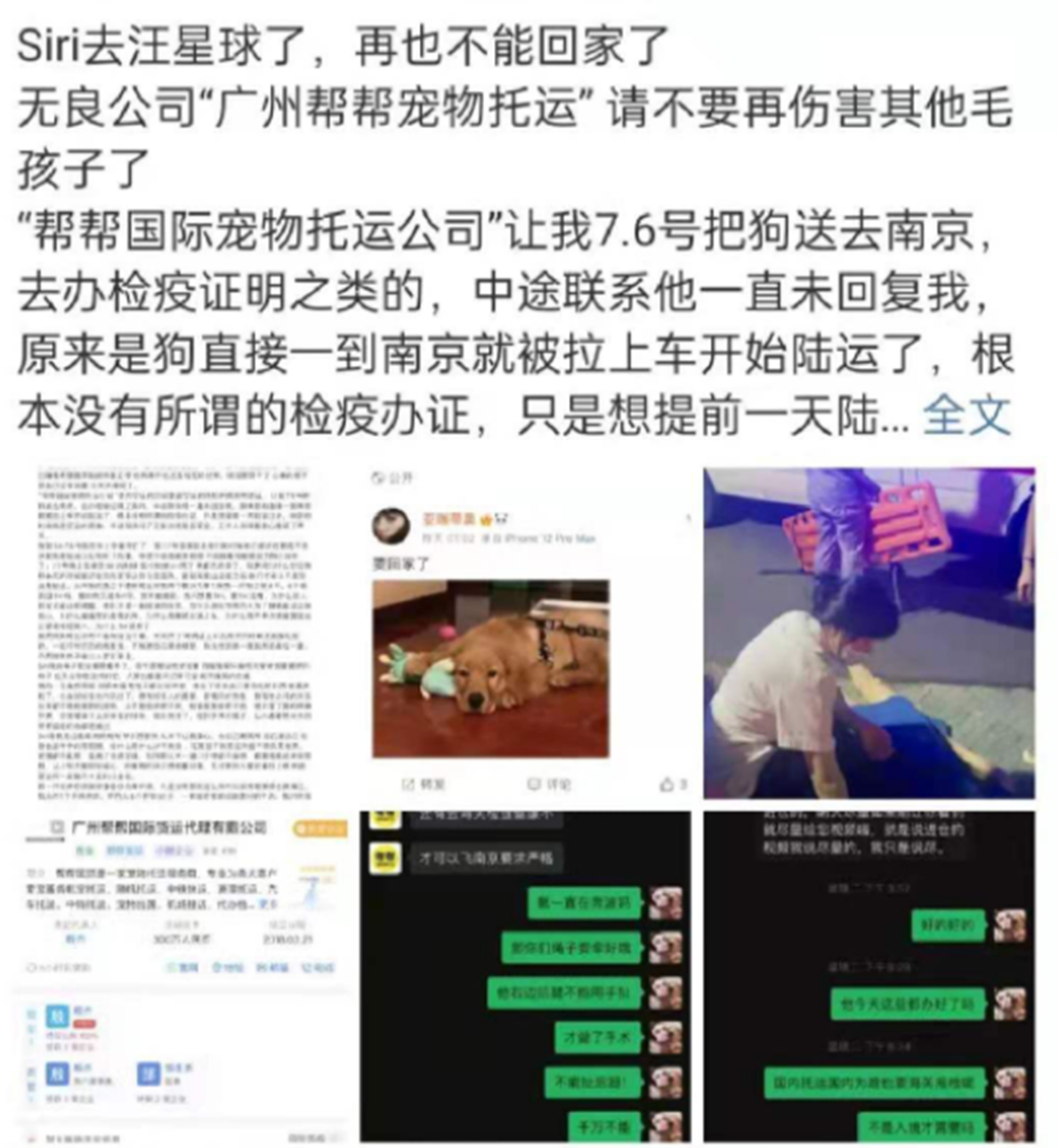 网红赵大肥自曝，凭关系进华中科技大学，华科大正式声明：假的