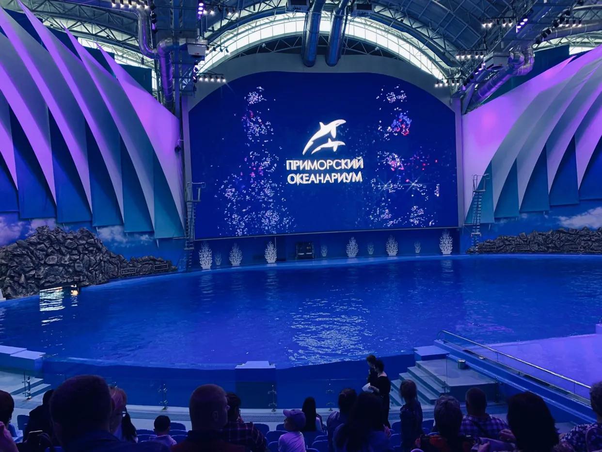 海参崴艺术表演,海参崴歌舞表演与风情表演的区别