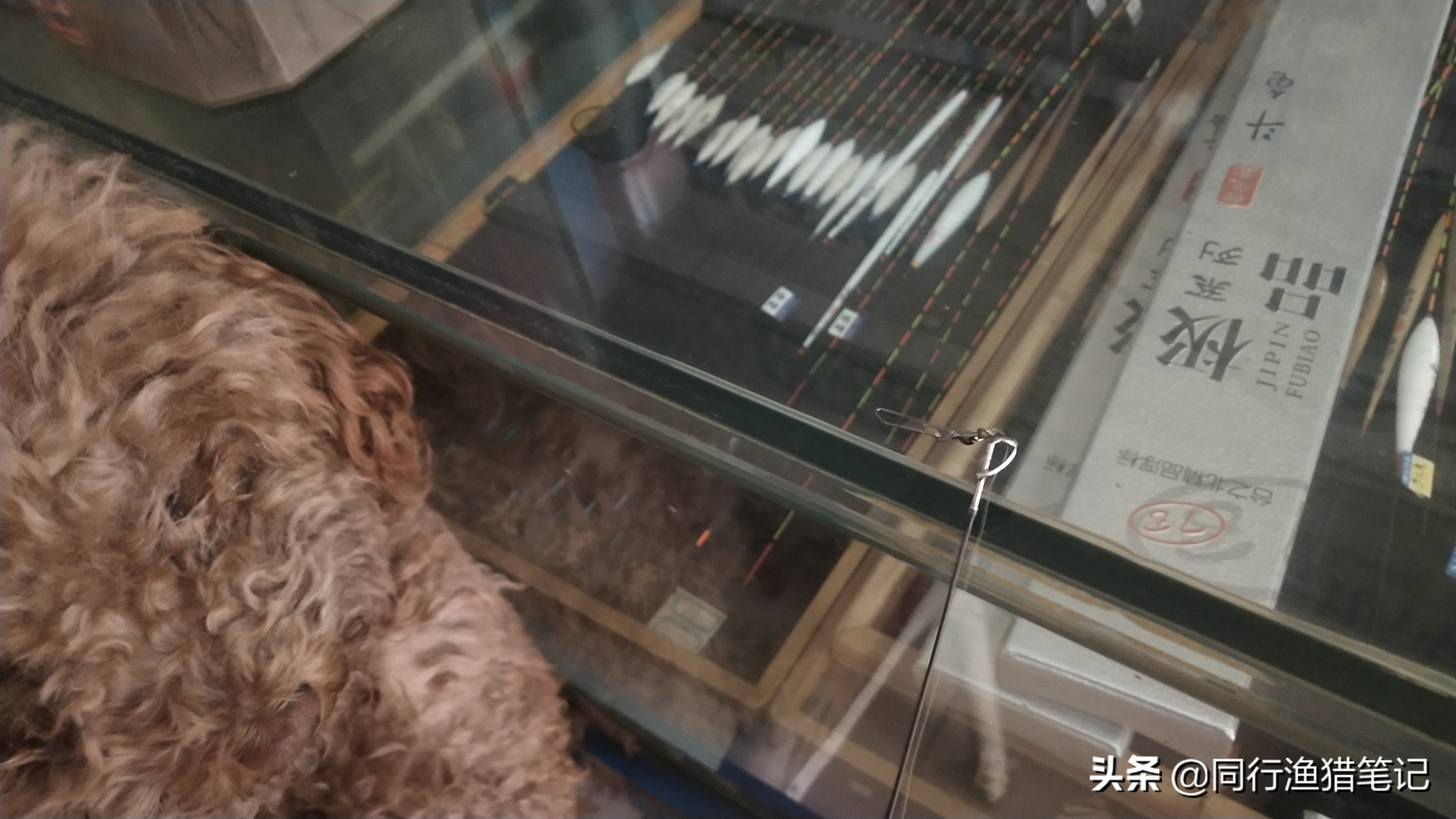 海竿怎么装线组钓白鲢,海竿怎么装线和装铅坠