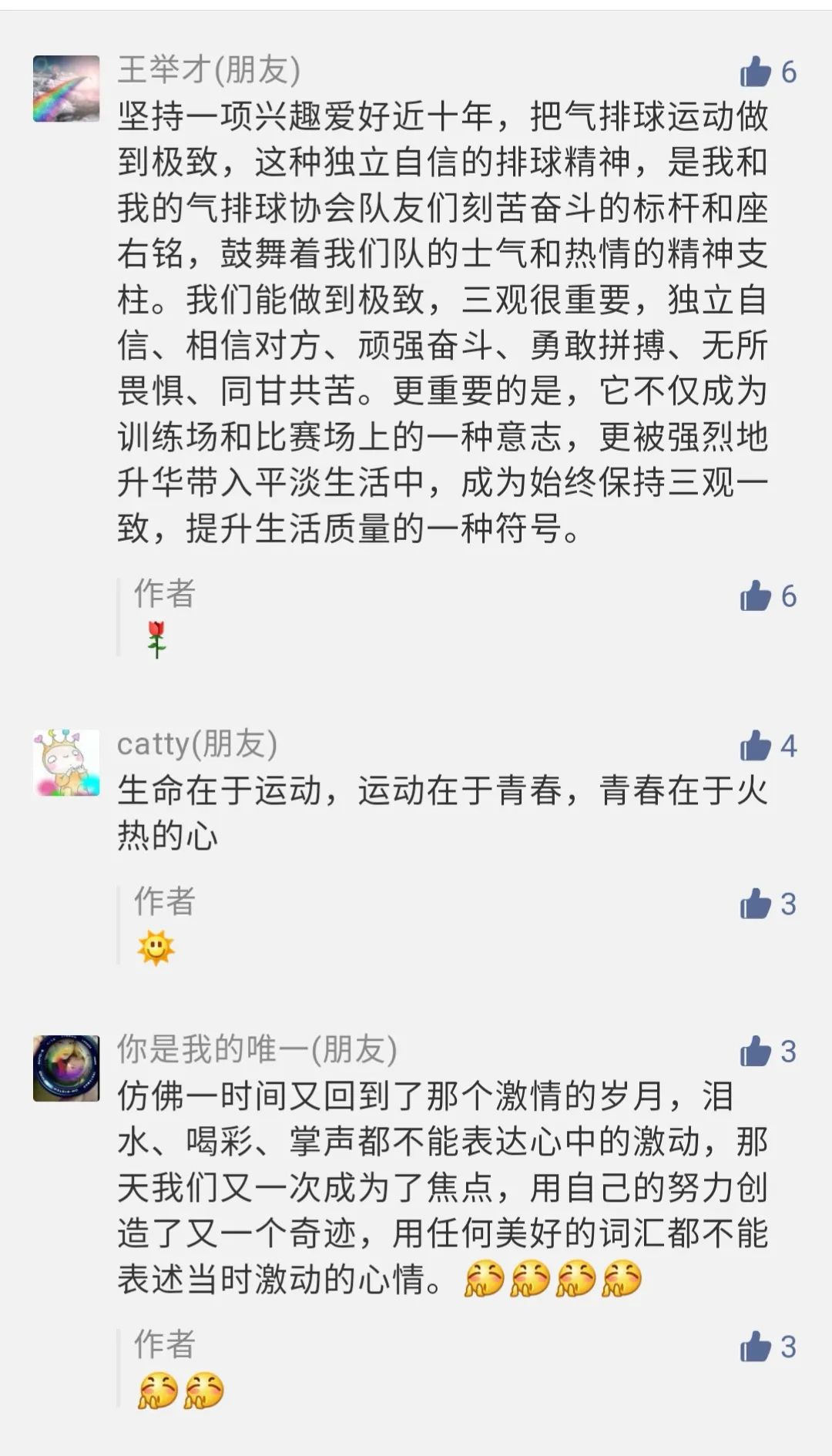 排球队的精神,排球队