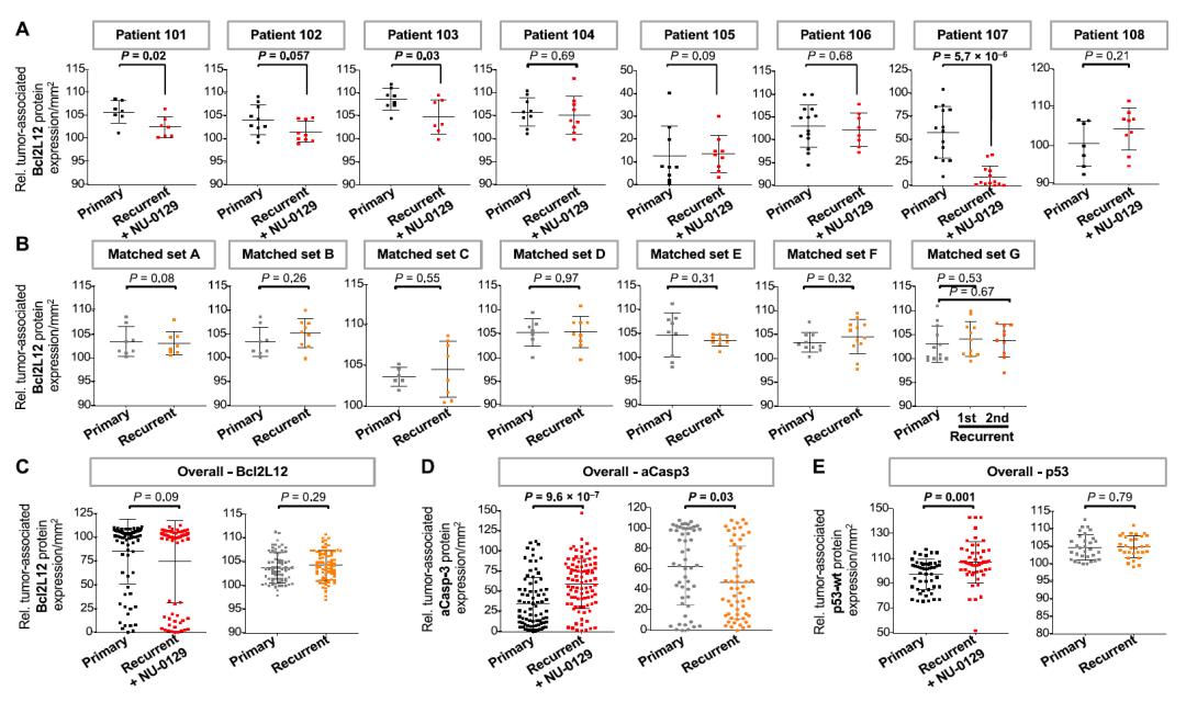 研究发现摧毁癌细胞新靶点,突破血脑屏障新药