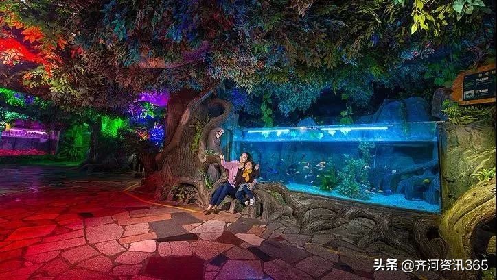 齐河新名片,齐河新地标