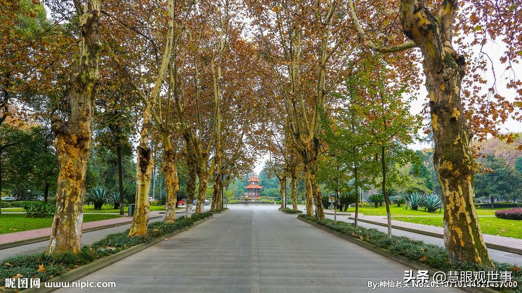 侯氏三兄弟事迹,侯氏家族发展史