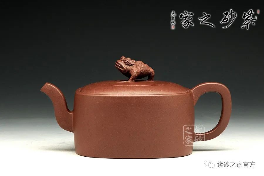 599和849什么区别,180的壶跟100的壶哪个好