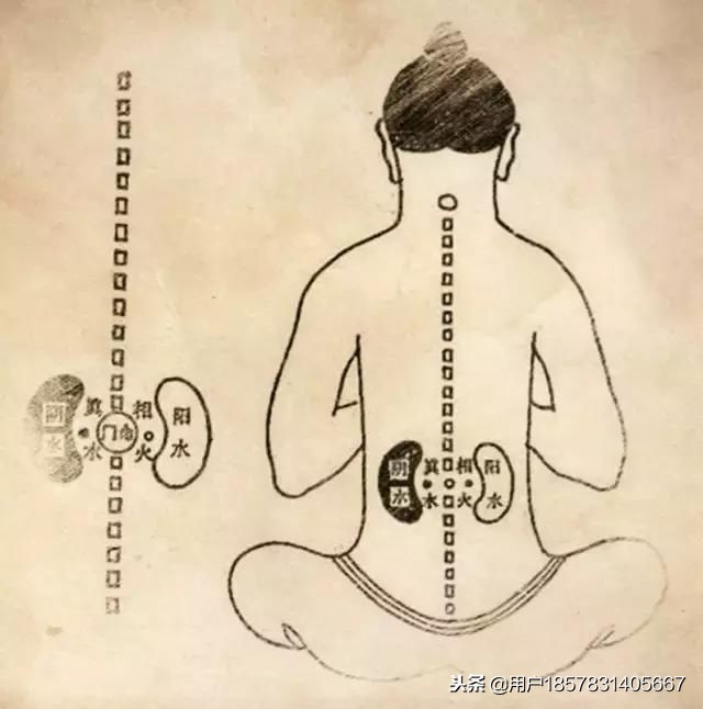 肾虚就乱吃补肾药小心越补越虚,吃补肾的药感觉越补越虚