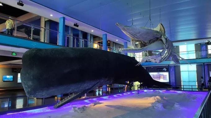 谁说去海边是夏天的专利？秋意正浓，三天两夜玩转烟威刚刚好！