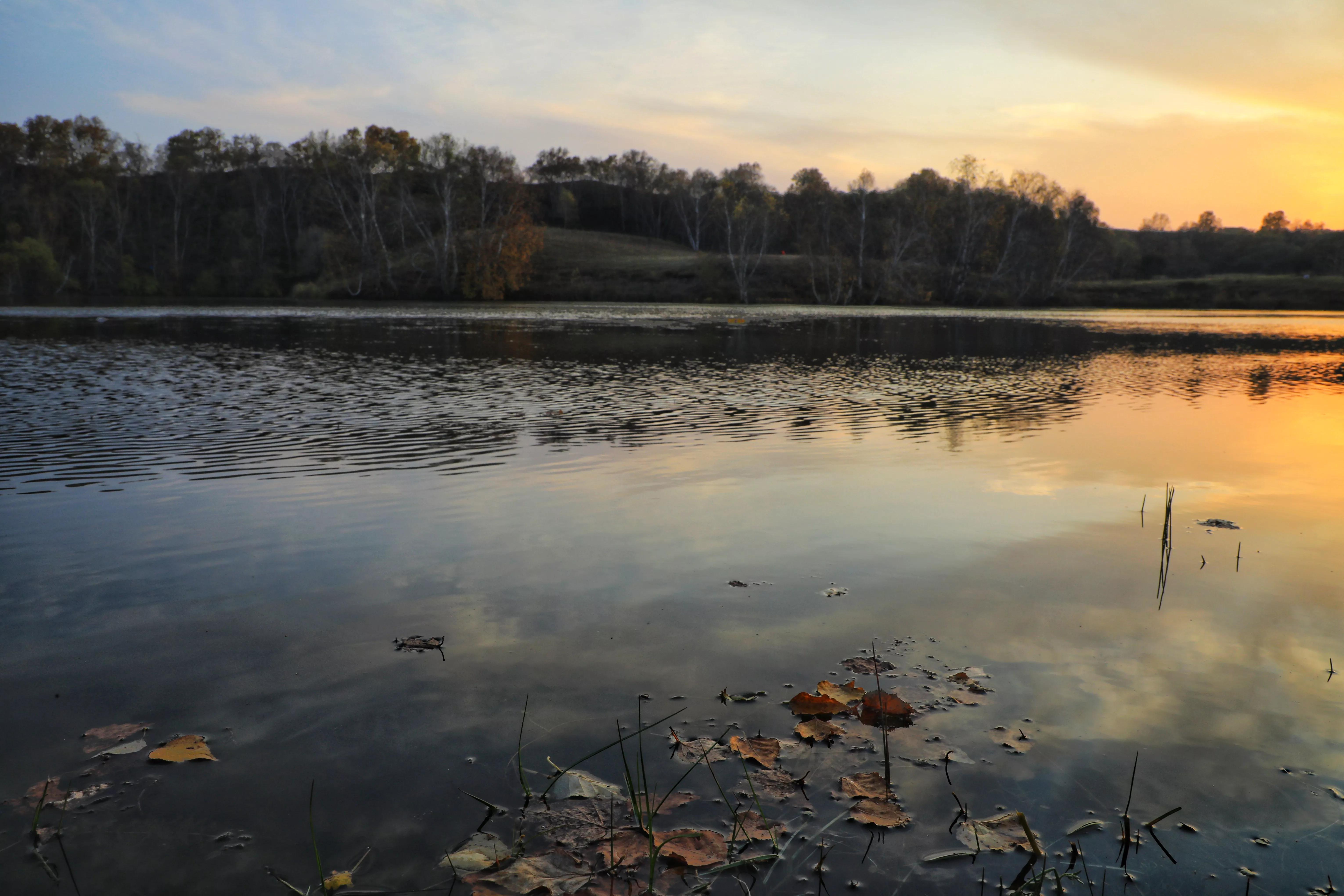 坝上秋色草原,坝上草原游记作文
