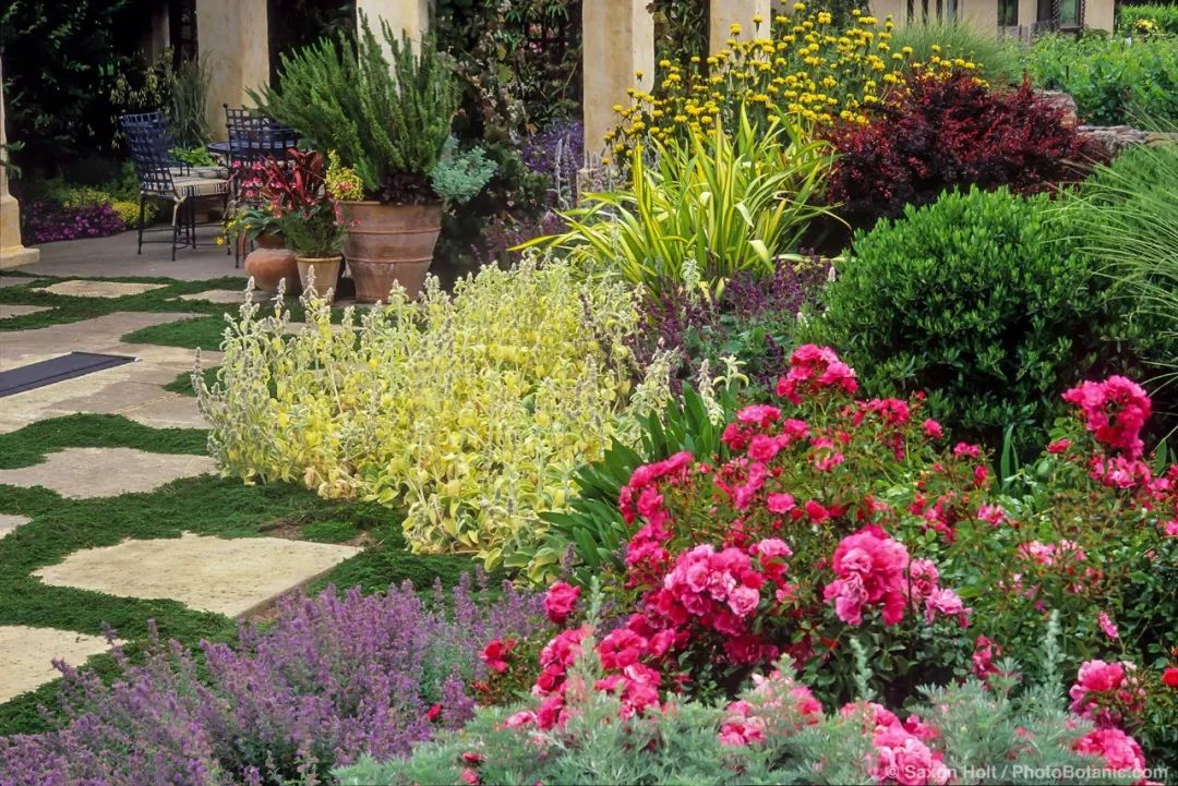 干货分享种植小技巧,混合花境设计与种植建议