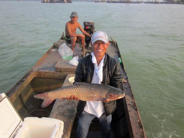 黑坑清江鱼钓鱼技巧和方法,网箱钓鱼技巧视频教程