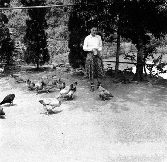 张学良台湾囚禁生活怎样度过的,张学良在台湾囚禁生活怎样度过的