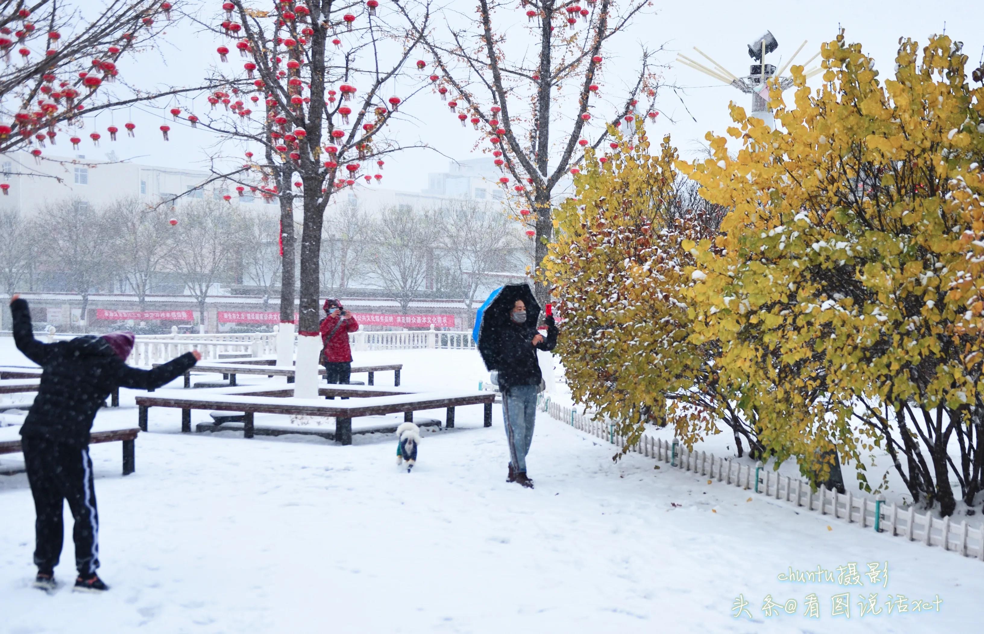 青龙下雪的情景,青龙县今天下雪了吗