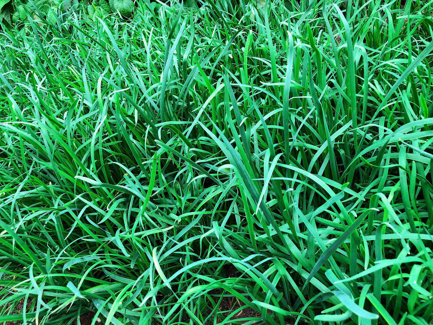 期货时机,期货交易时机