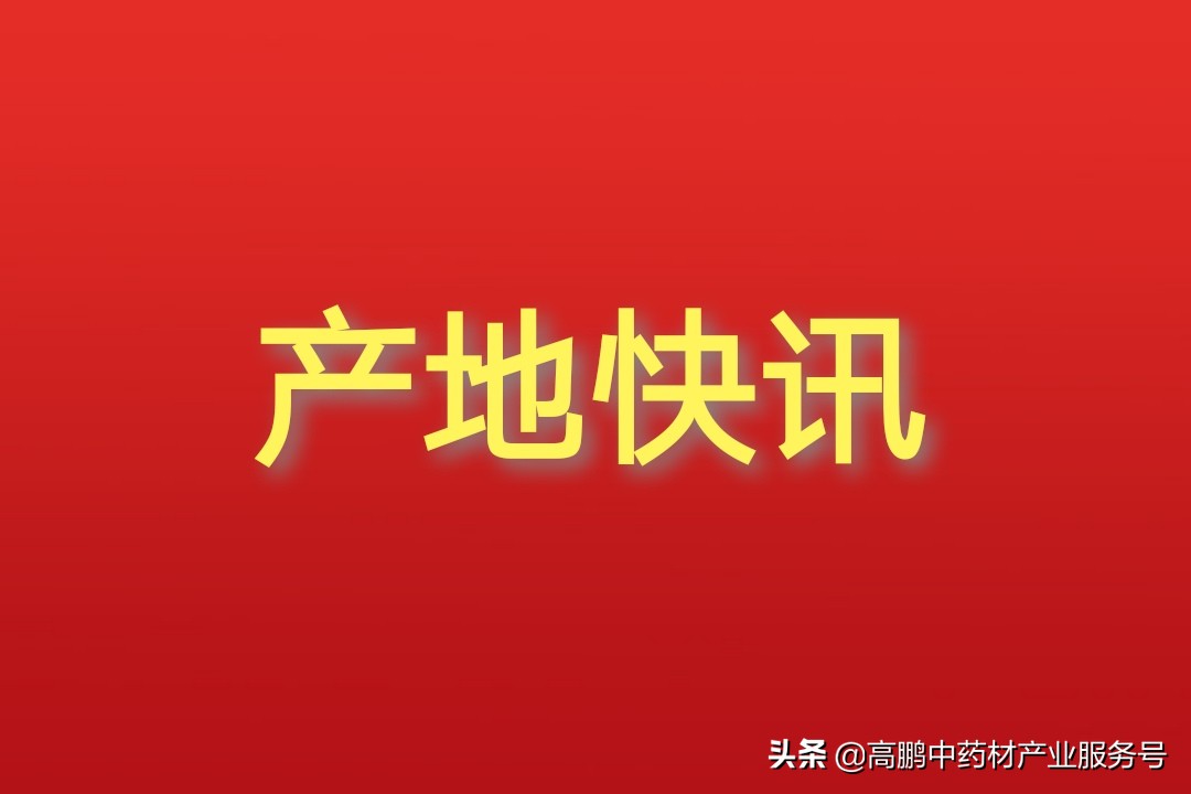 2021年十月份的药材收购价,9月15日中药材市场价格行情一览