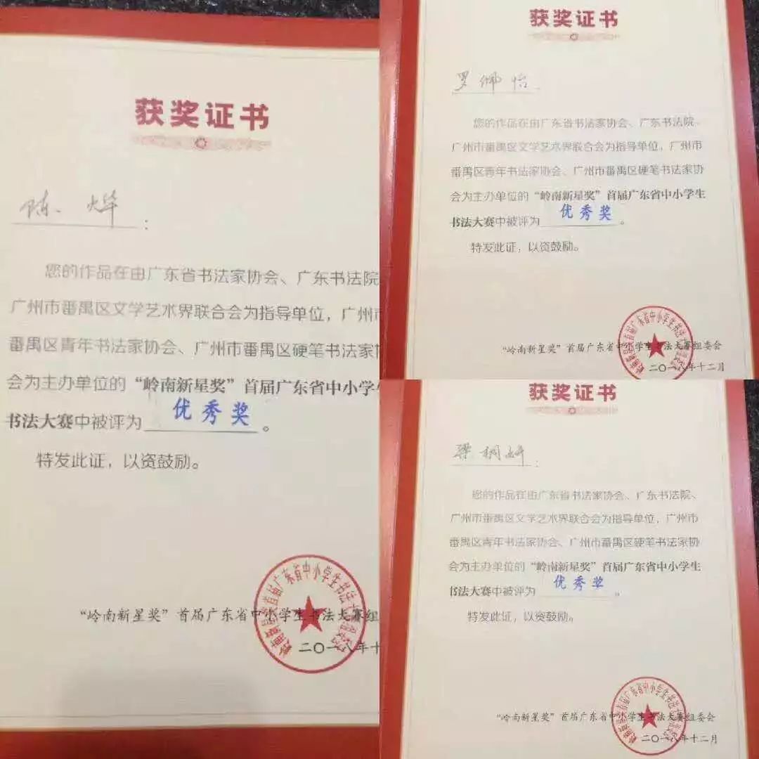 肇庆不限户籍的学校,肇庆不限户籍的中学