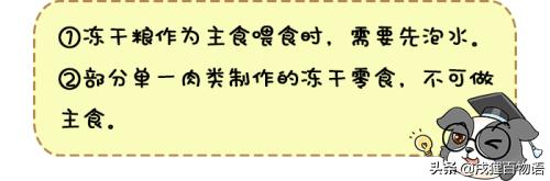 幼犬狗粮排行榜狗狗吃哪种狗粮好,狗粮的种类和品牌推荐