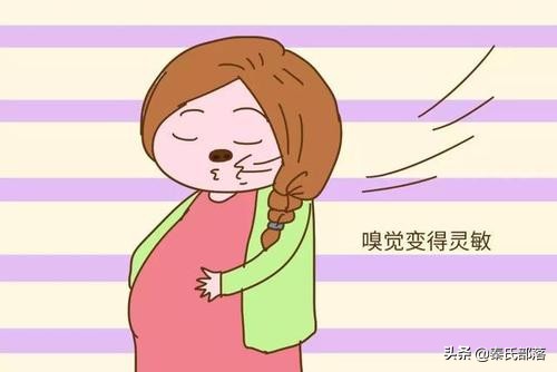 早孕怕炸胡？任意中五条童心妈妈恭喜你成功荣升准妈妈