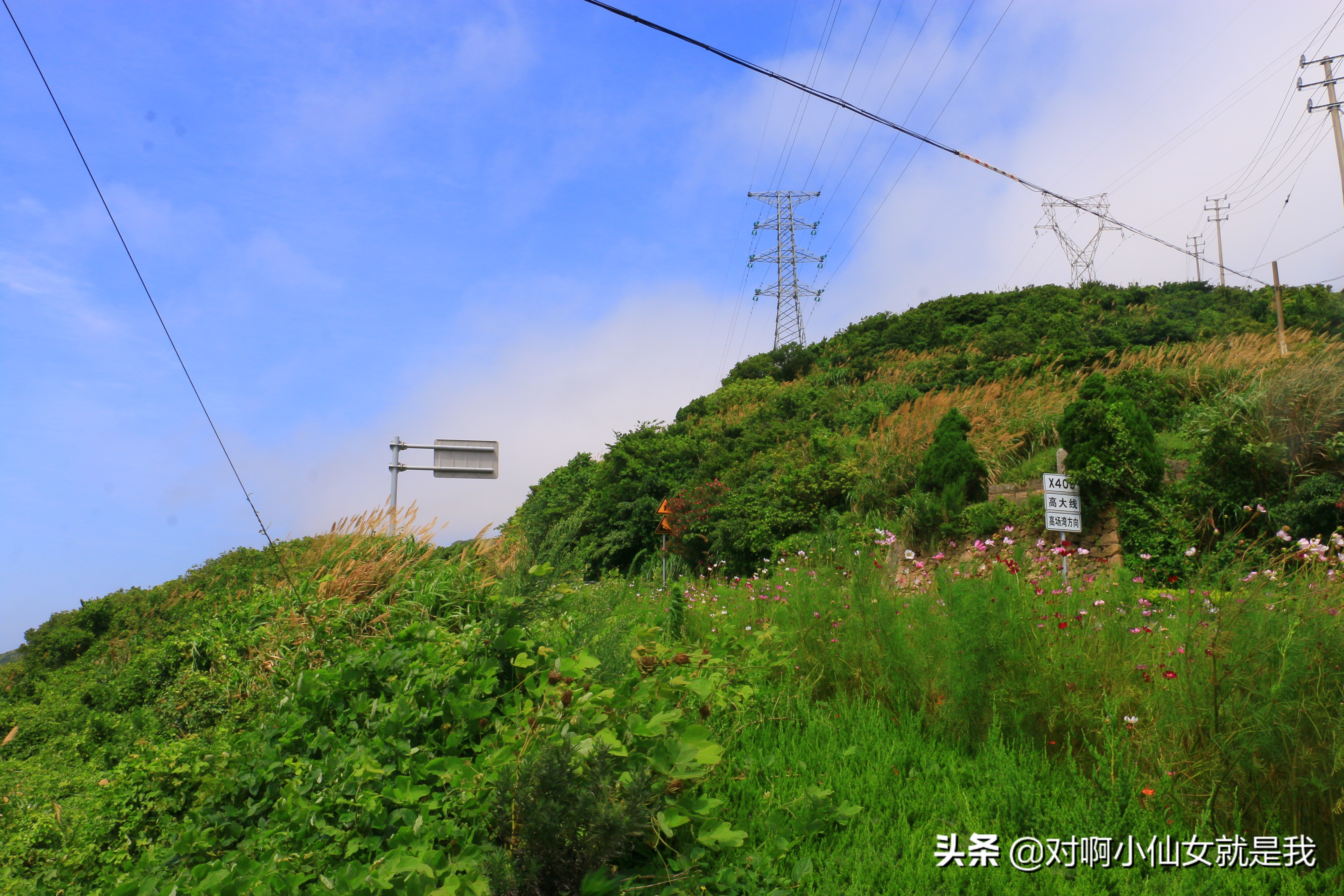 上海周边海岛,2018上海周边小众海岛哪个好玩