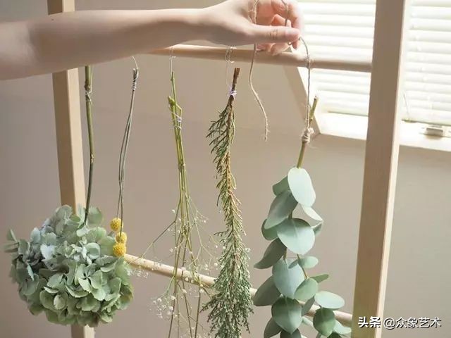 干花布置省钱,什么花适合做干花