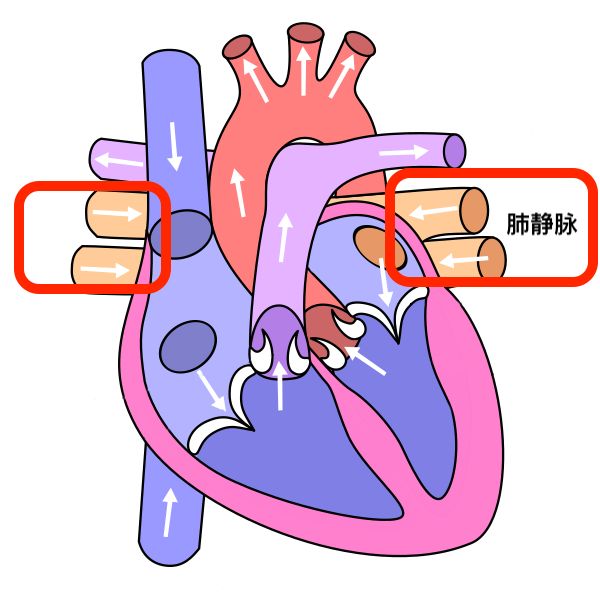 早期肺癌手术半年还是不舒服,早期肺癌手术三年了无化疗
