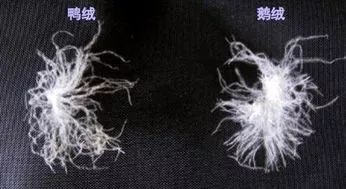 你了解羽绒吗文案,你了解羽绒服大衣的成本吗