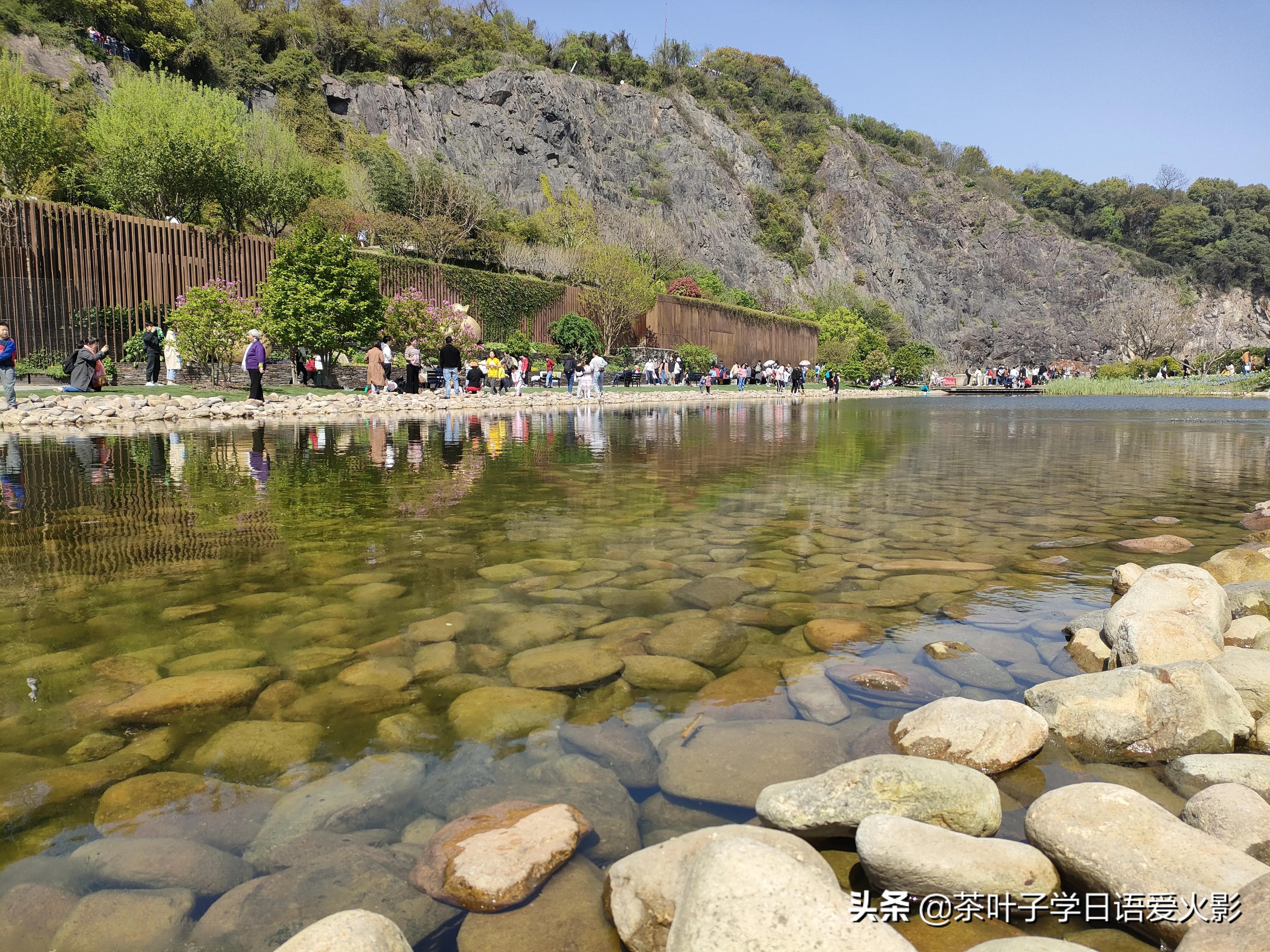 春天踏青适合去哪里玩,春天去上海辰山植物园攻略