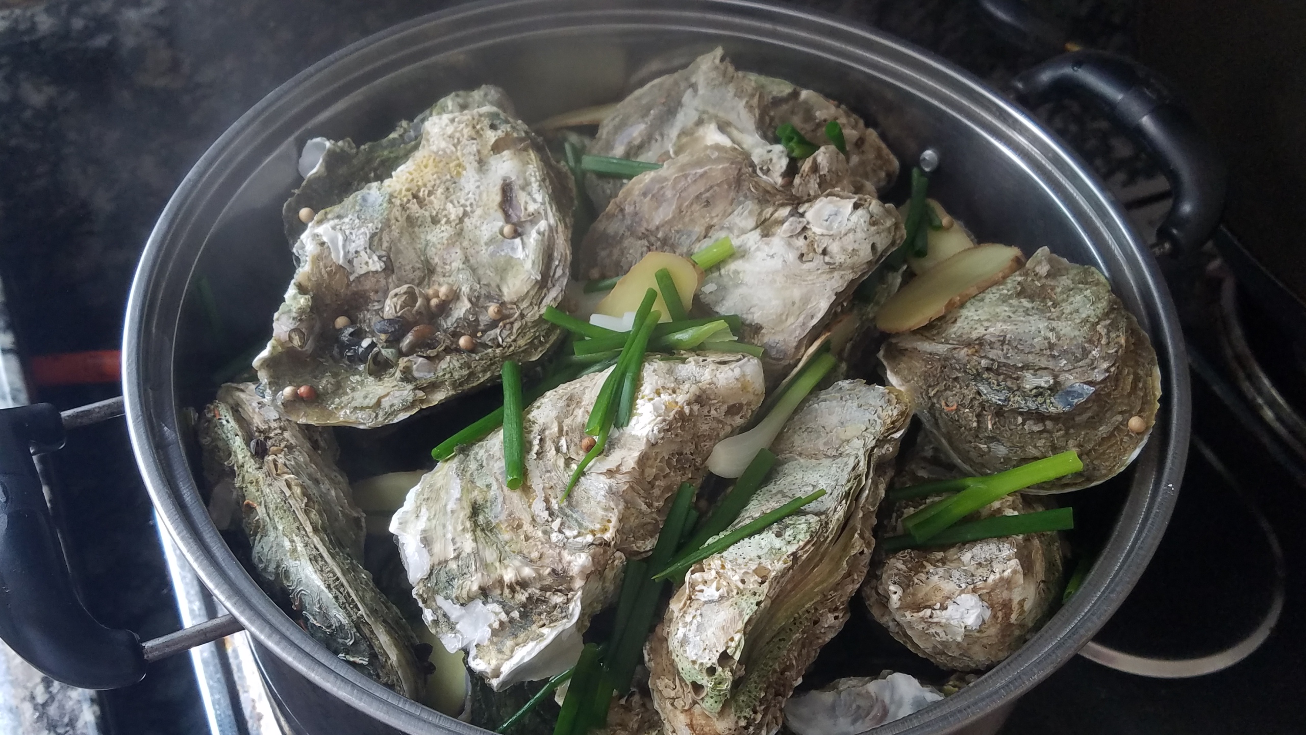 生蚝又好吃又简单的做法,生蚝的多种做法大全