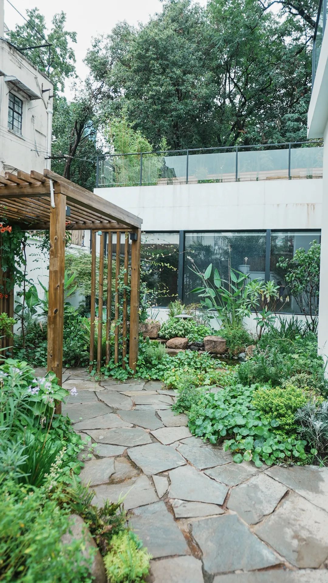 住在上海闹市400平的房子里，花开不败，开窗见池塘，太羡慕了