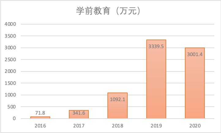 网络教培未来的航母，新东方在线全面分析（一）
