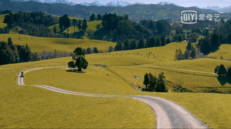 9部日本治愈系纯爱电影推荐,一部让你感动落泪的纯爱电影