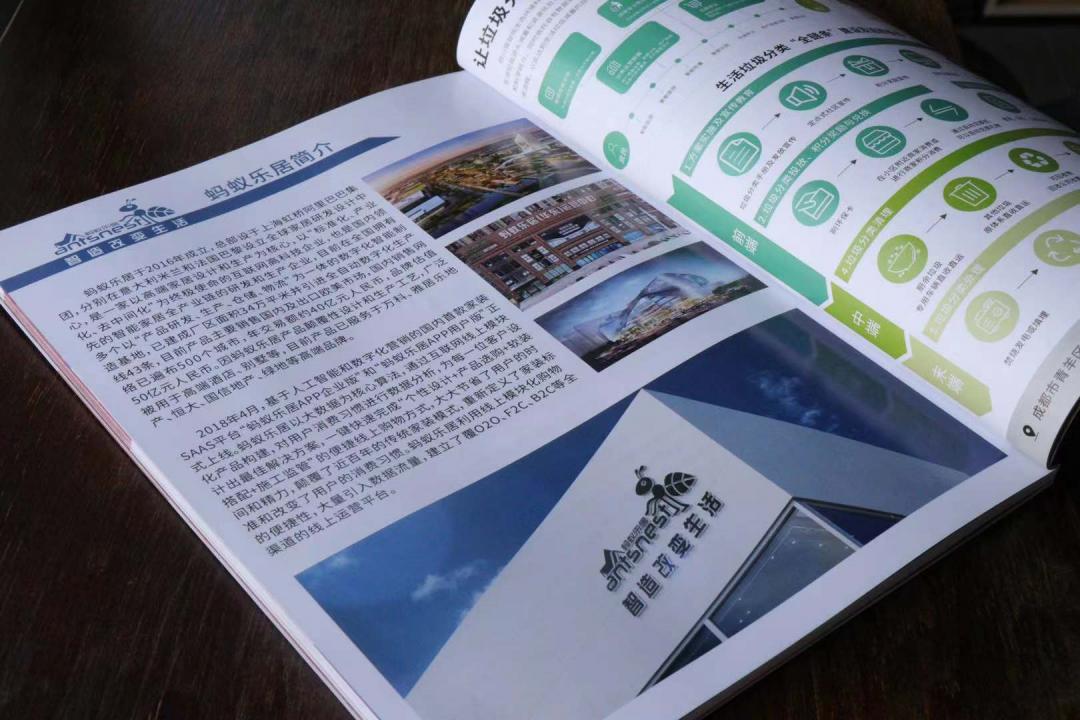 蚂蚁乐居互联网装修,蚂蚁乐居整装