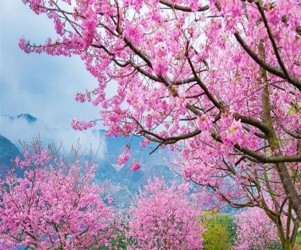 汉字知识大分享,国人必知的汉字常识