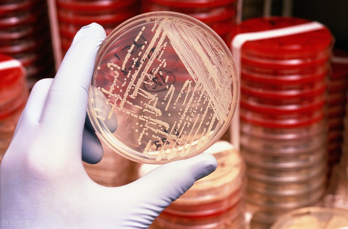 阿莫西林别滥用只针对这六种病,阿莫西林仅对5种疾病有效