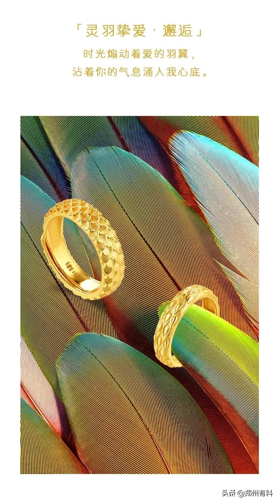 听说你已经拿到了郑百的录取通知书？等你来报道！你来了吗？