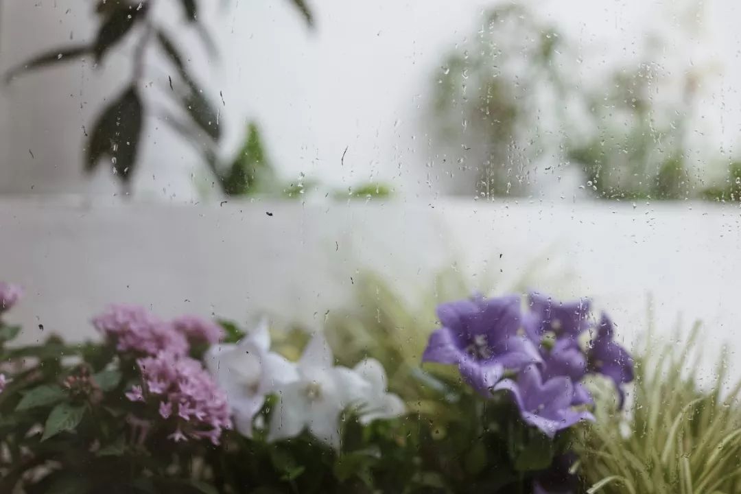 上海二手房学区房,2024年上海二手学区房