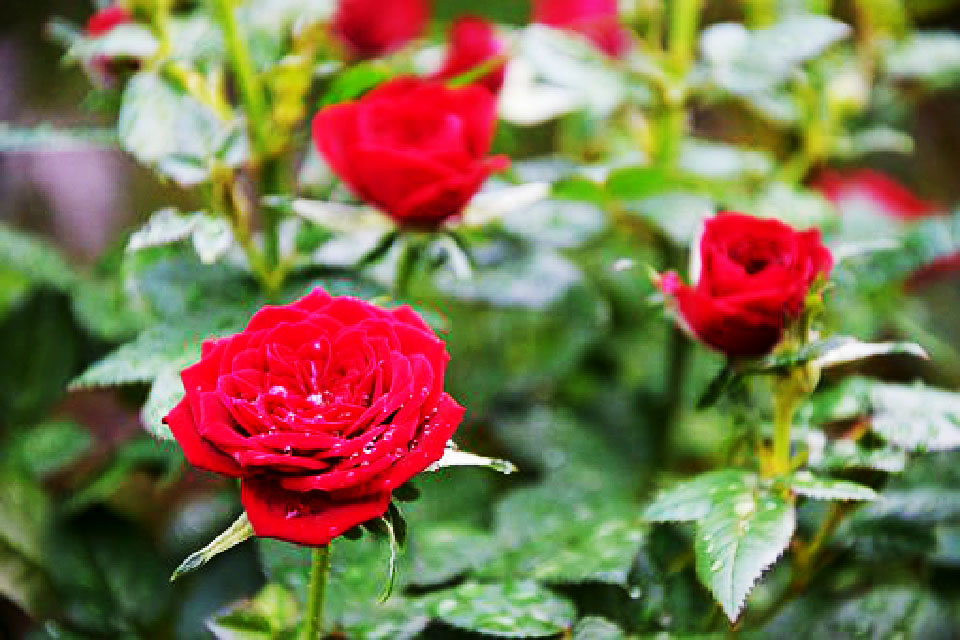 写进心坎的说说短句句句穿透人心,触及心灵的经典说说