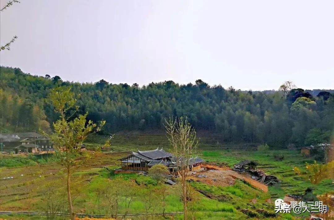 中国最美三明旅游线路,中国绿都泰宁最氧三明