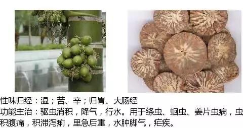 常用中草药名称大全图片及药效,常用中草药药效大全