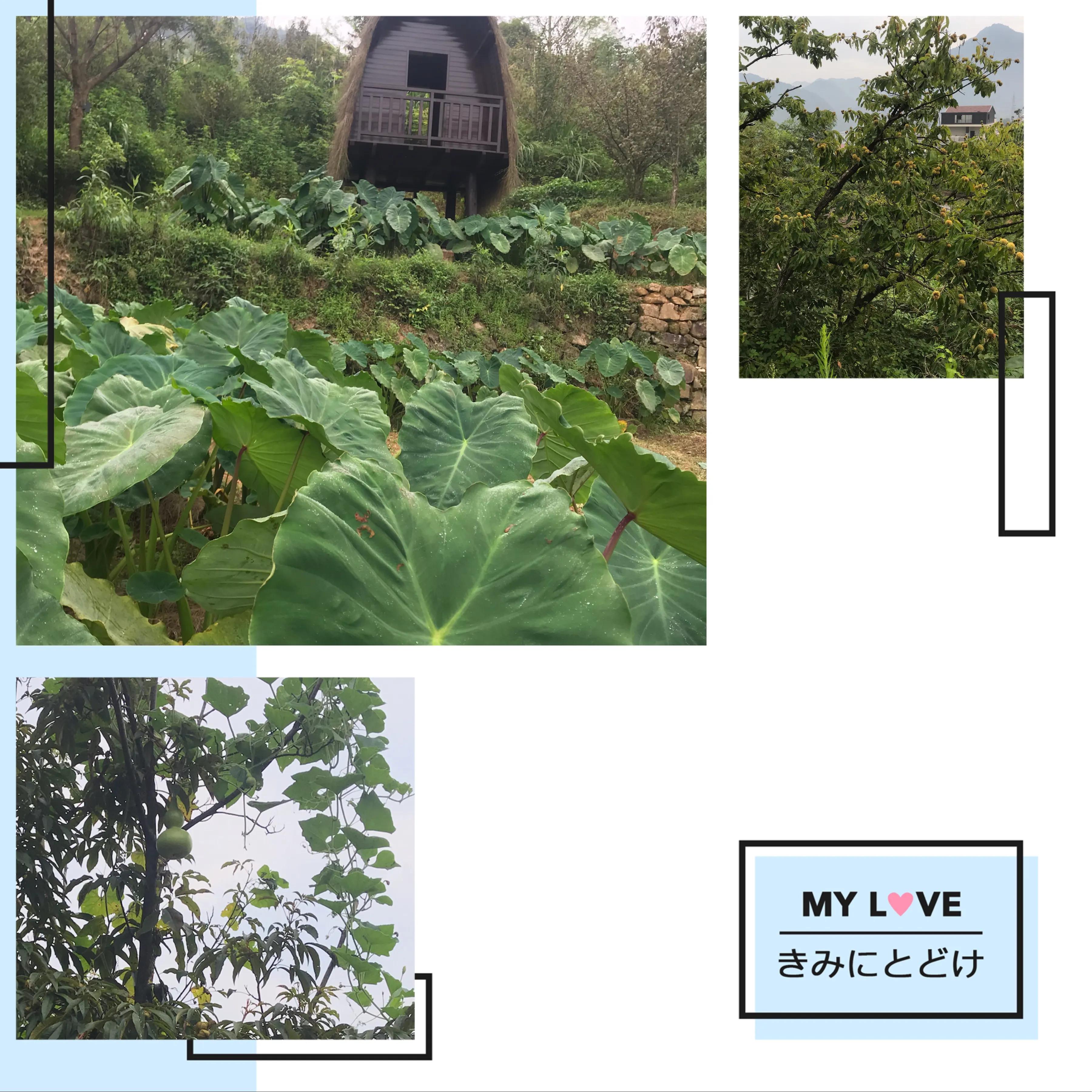 杭州临安湍口氡温泉星泉谷,临安湍口温泉星泉谷度假村