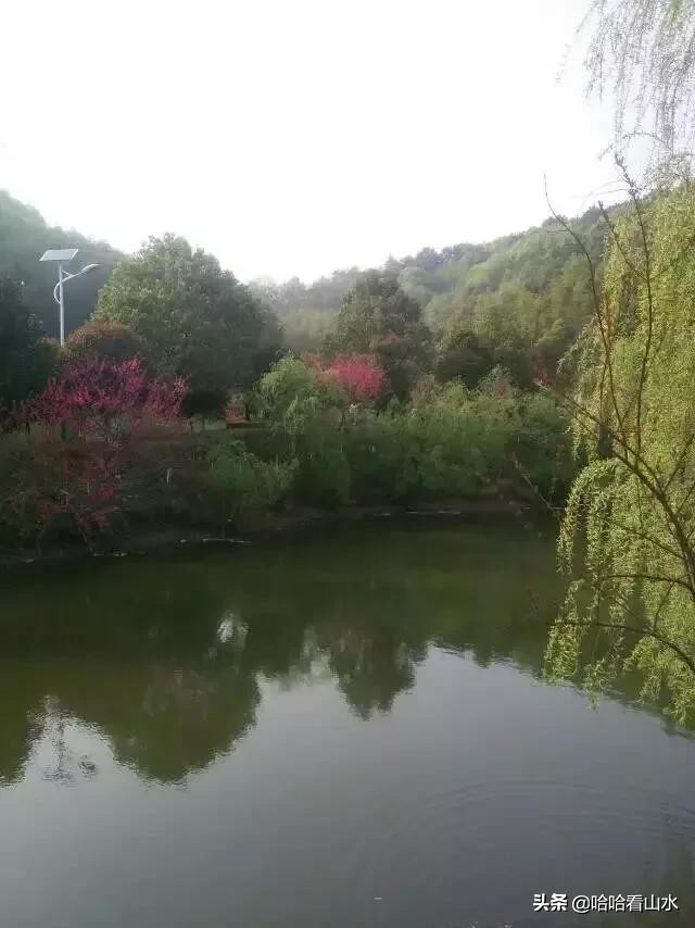 希尔寨，花的世界，花的海洋