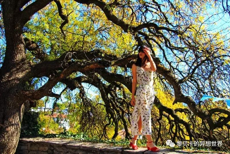 她们穿的连衣裙,她们穿的花裙子