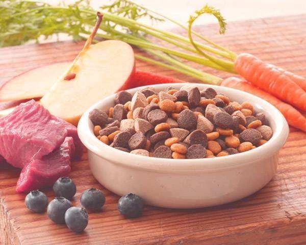 为什么猫咪便便这么臭,怎么让猫咪的便便不臭