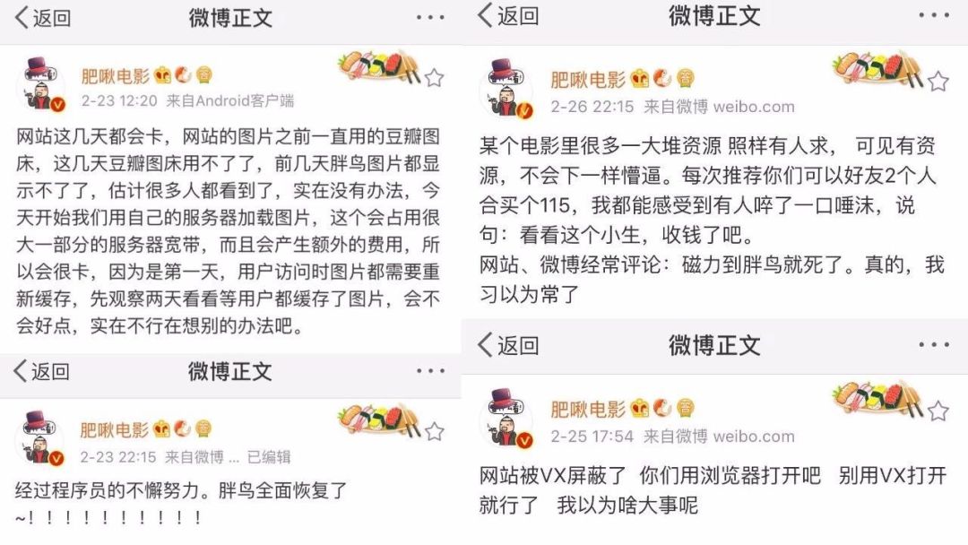 关于胖鸟,你们都说错了