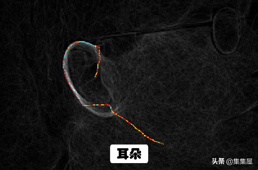 除了指纹还有什么是独一无二的,人类有独一无二的指纹吗